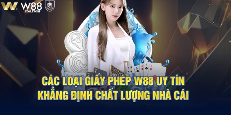 Sơ lược vài thông tin về giấy phép hoạt động w88